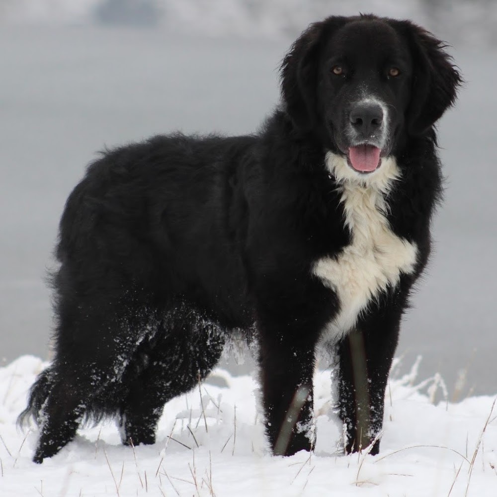 Meet your Posher, Candi